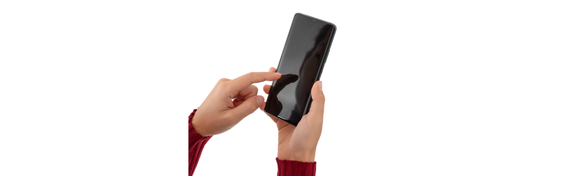 Vista previa del equipo